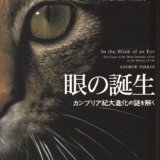 【書評】『眼の誕生』は生命の進化と神秘を感じさせる名著だった