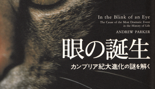 【書評】『眼の誕生』は生命の進化と神秘を感じさせる名著だった